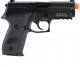 SIG Sauer  P229 -Green Gas GBB Proforce